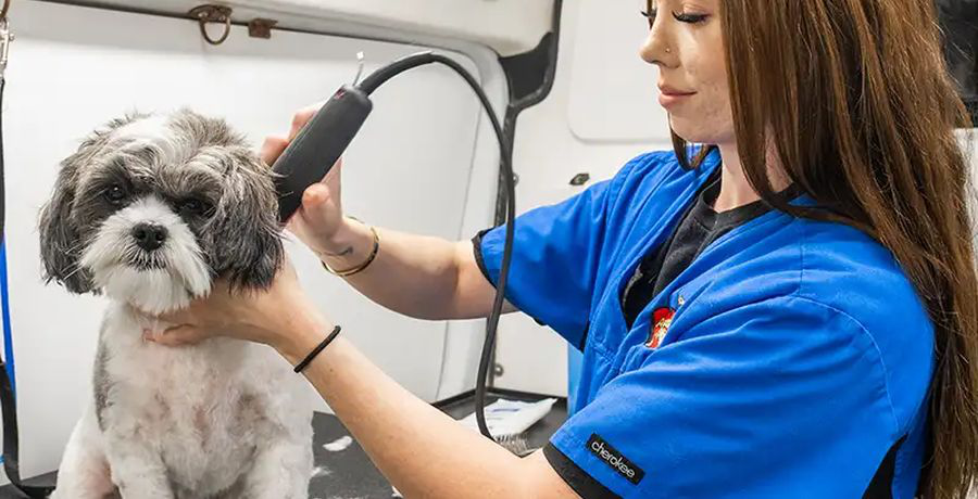 Our Mobile Grooming Work | Aussie Pet Mobile