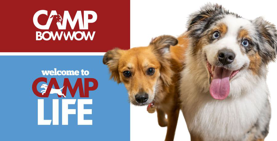 Camp Bow Wow location