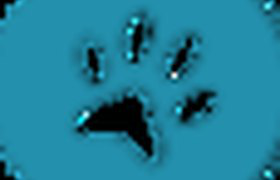 Pet Evolution logo