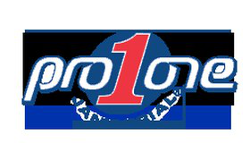 Pro One Janitorial logo