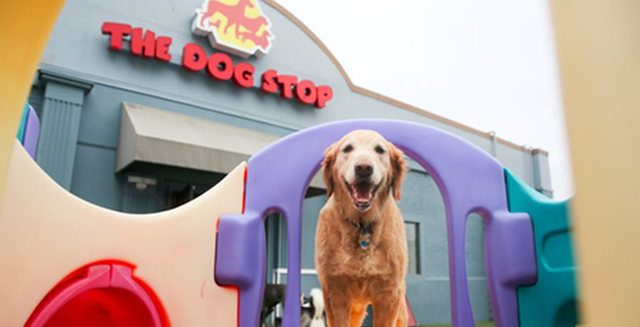 The Dog Stop location